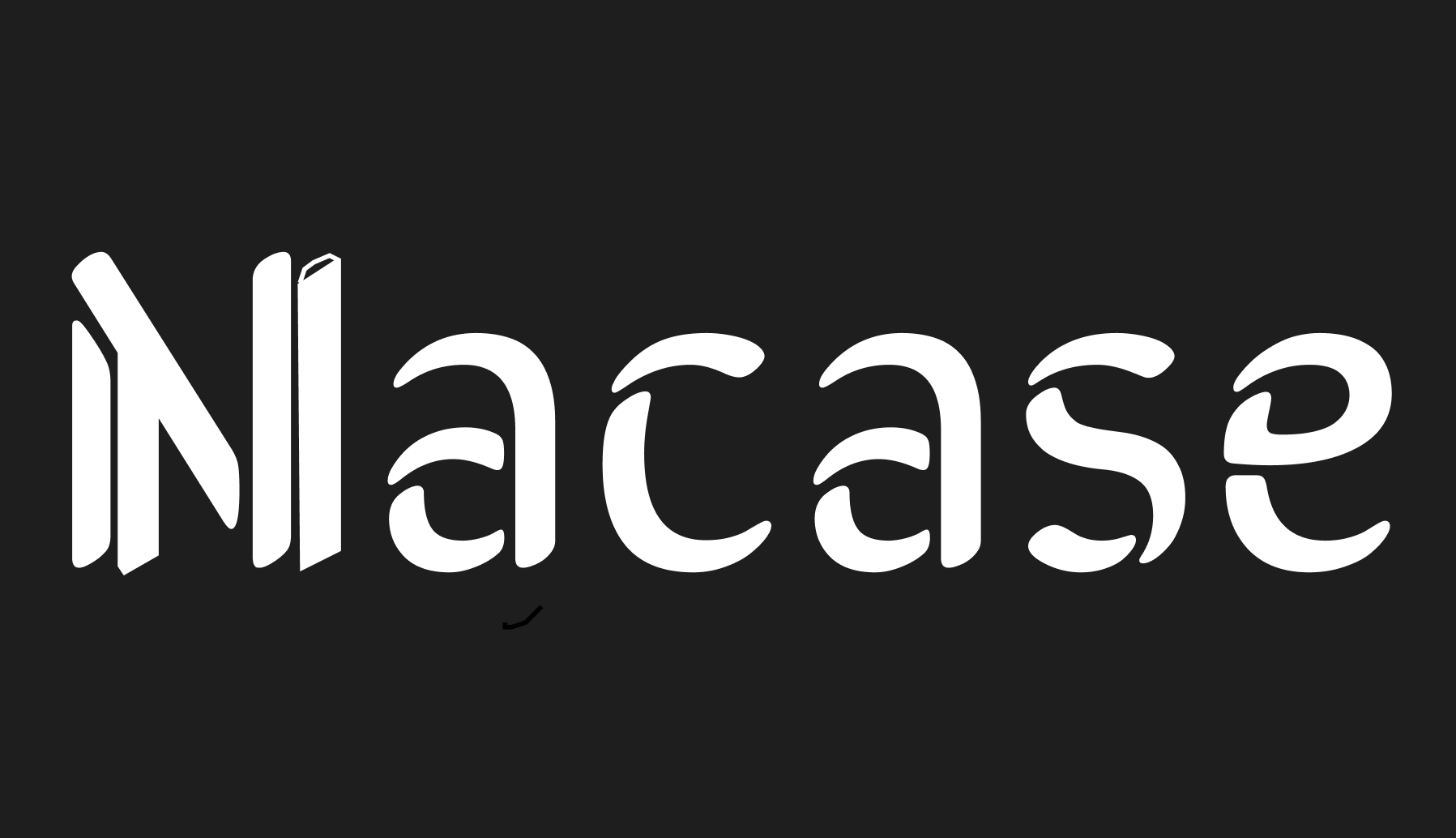 Nacase Logo